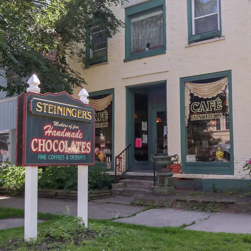 Steininger's