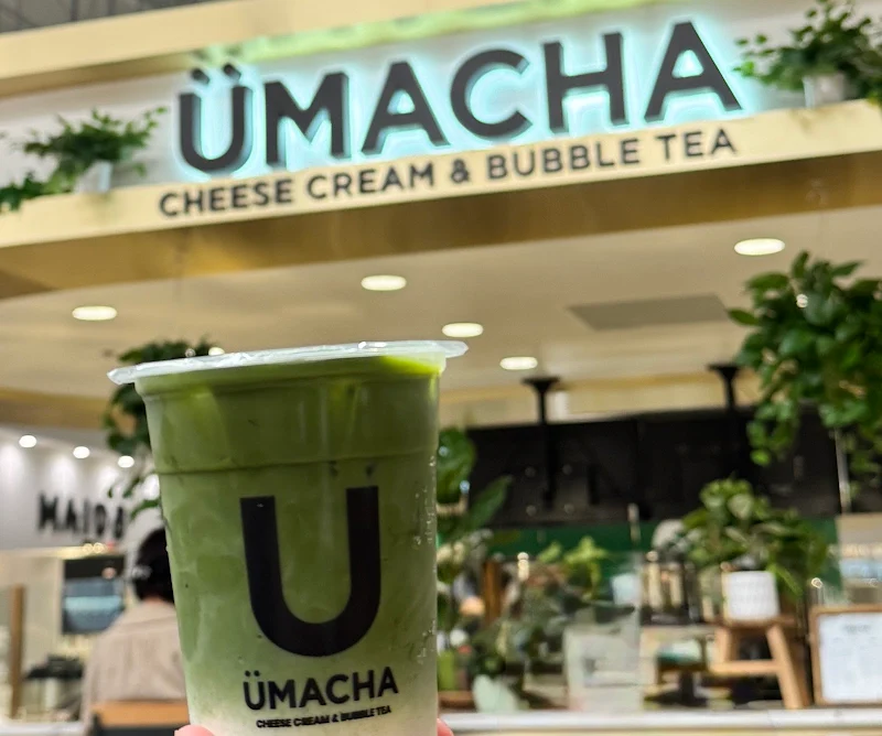 CAFFE MOCHA ( Cold 24oz or Hot 16oz )