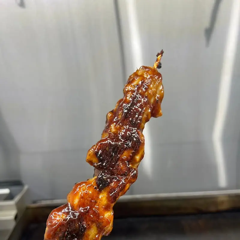 100x35 Puertorrican Food
