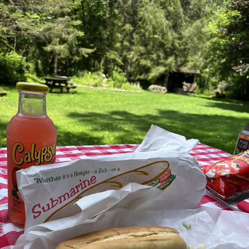 The Sub Shop