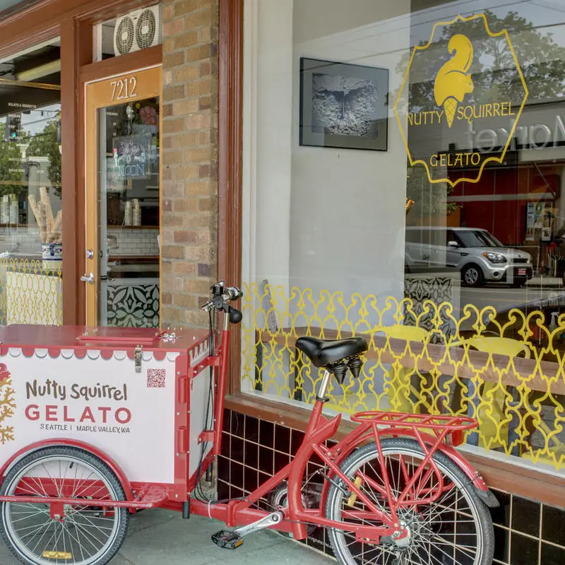 Nutty Squirrel Gelato