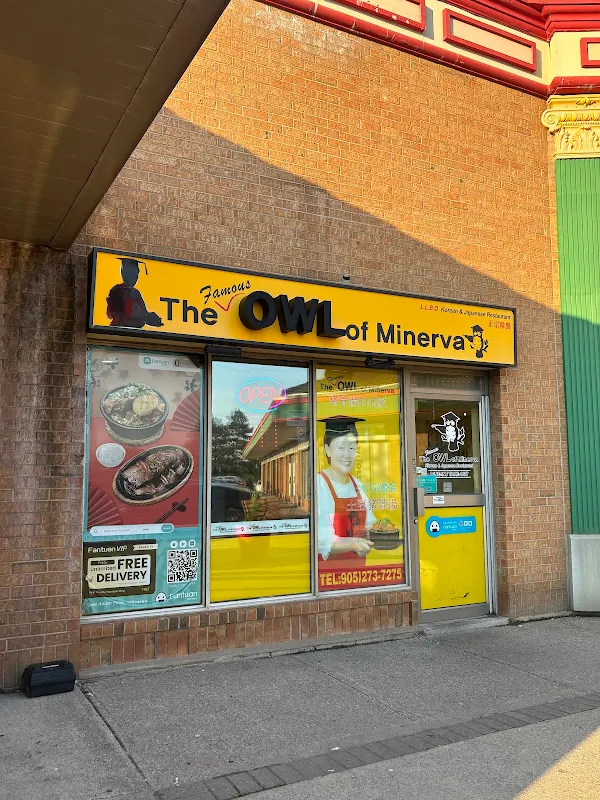 The Famous Owl of Minerva