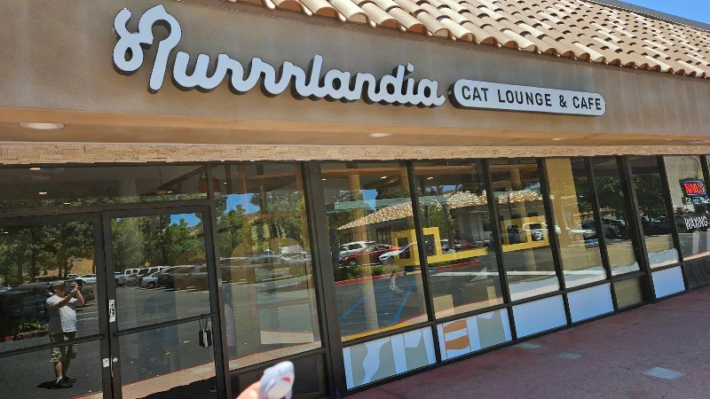 Purrrlandia Cat Lounge & Cafe