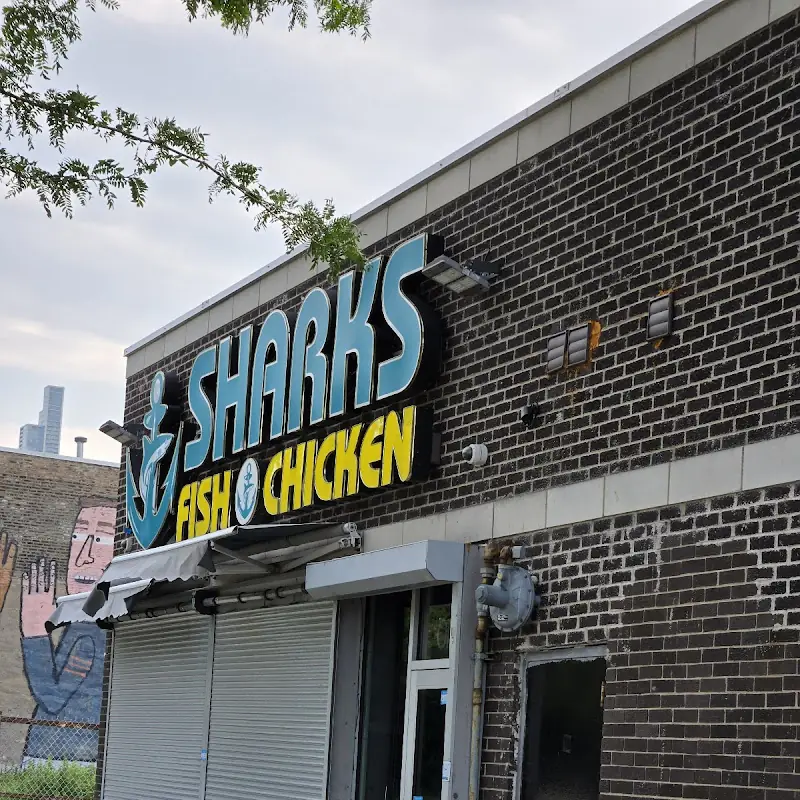 Sharks Fish and Chicken