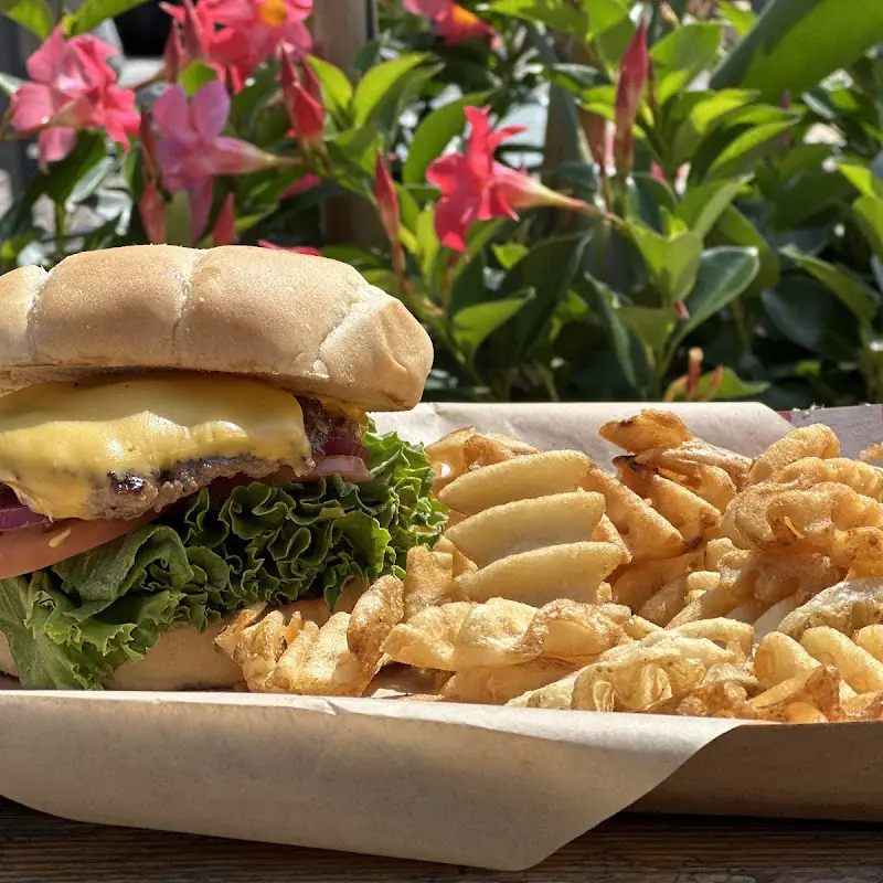 Grilled Cheese