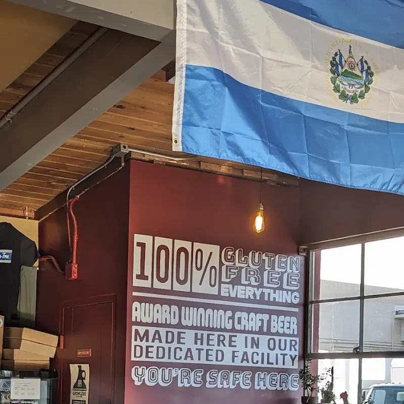 Salvi PDX