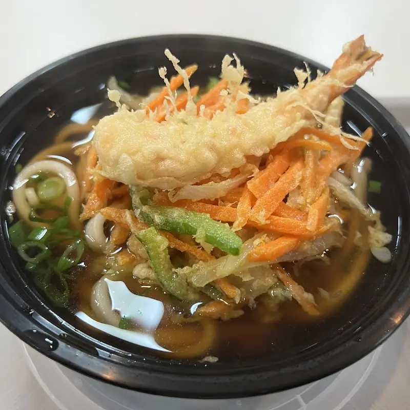 Assorted Tempura Udon