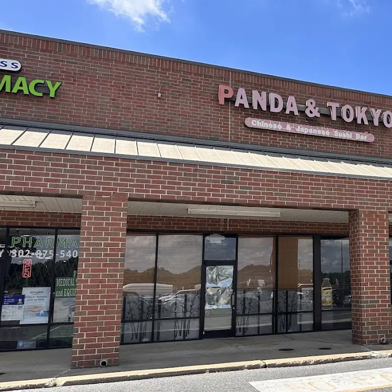 Panda And Tokyo