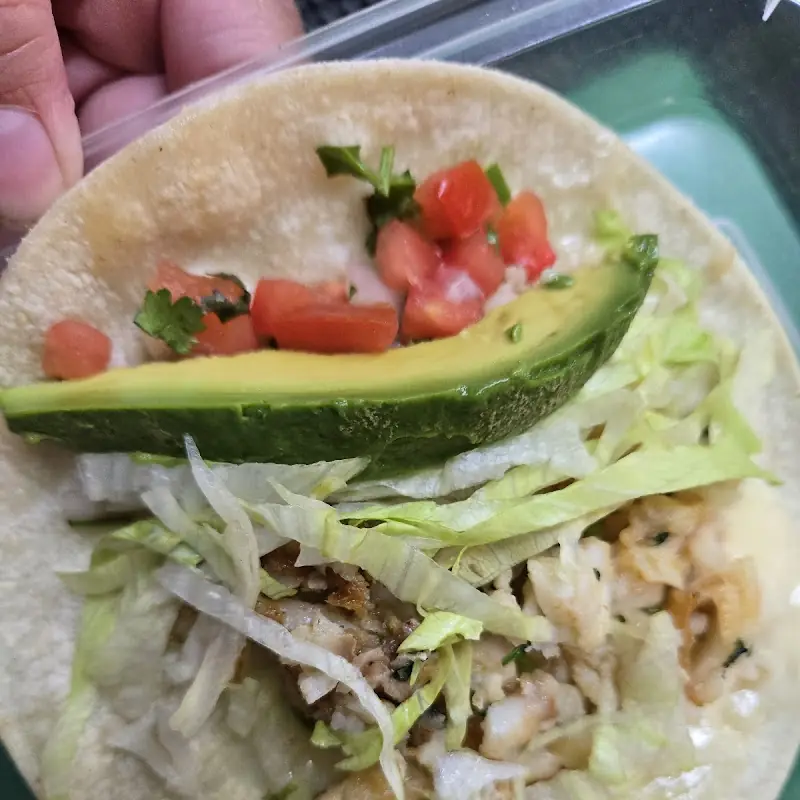 Carnitas Delicias