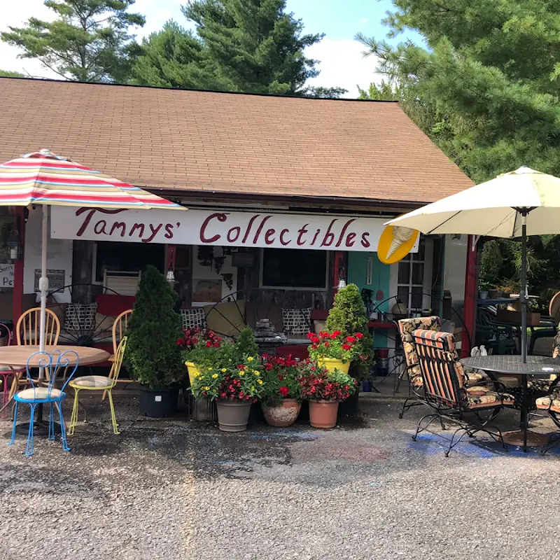 Tammy's