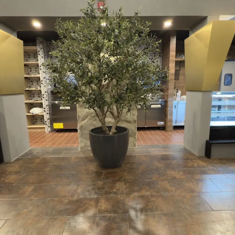 The Olive Bistro