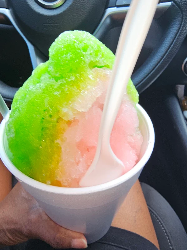 New Orleans Style Cajun Sno