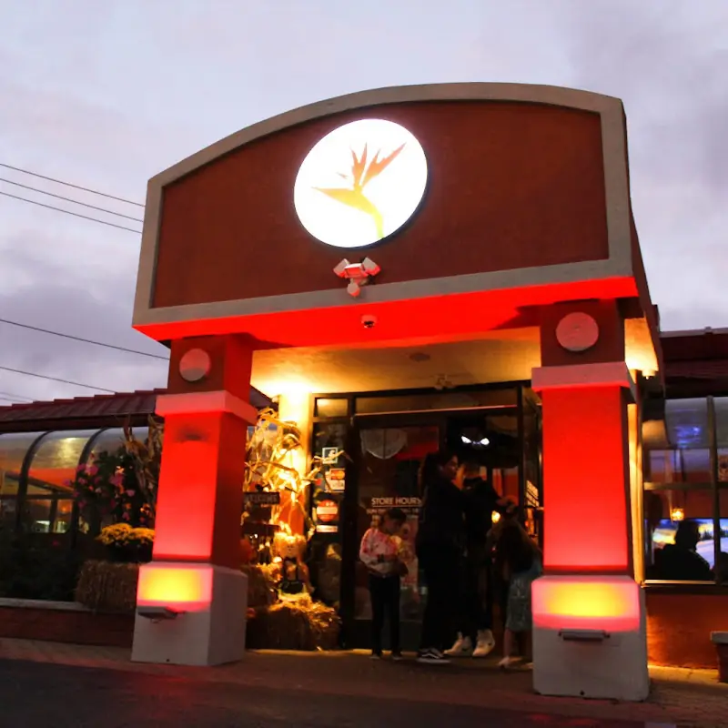 Noches de Colombia