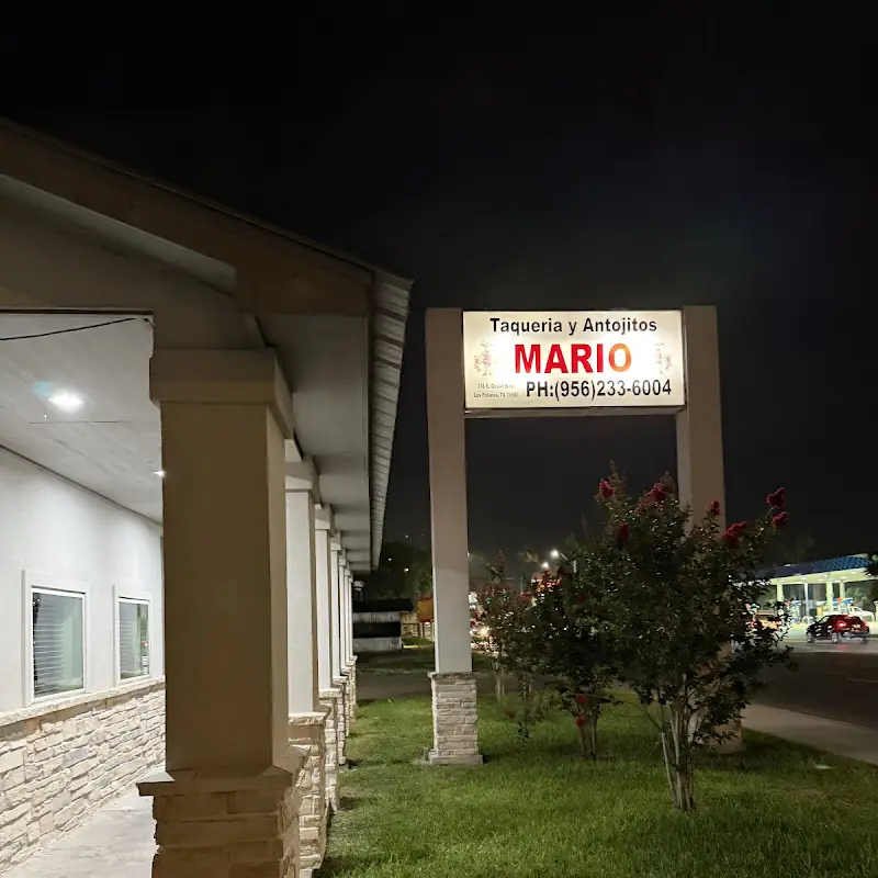 Taqueria Antojitos Mario
