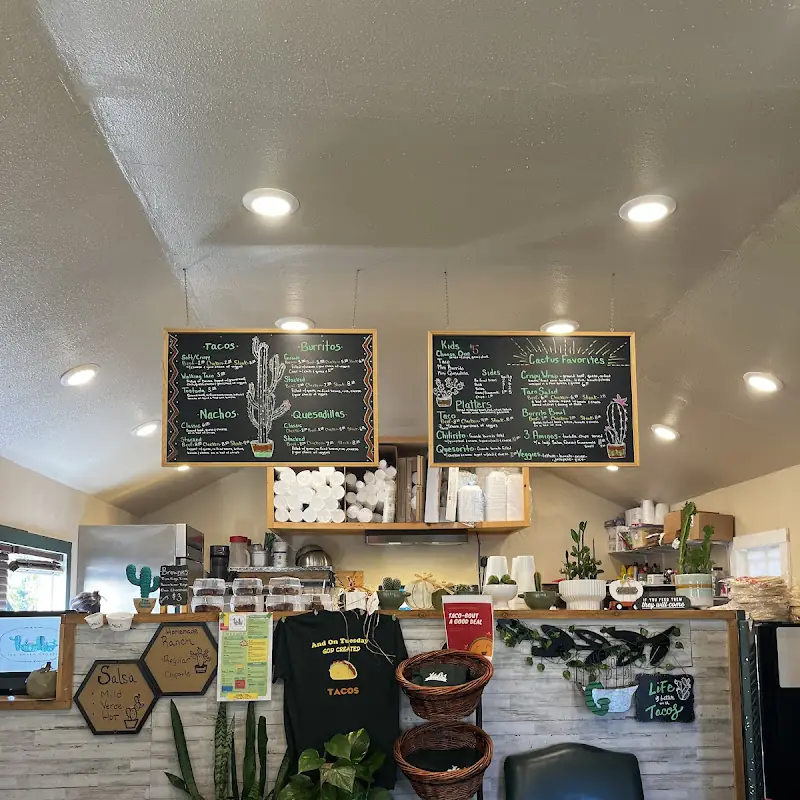 The Green Cactus