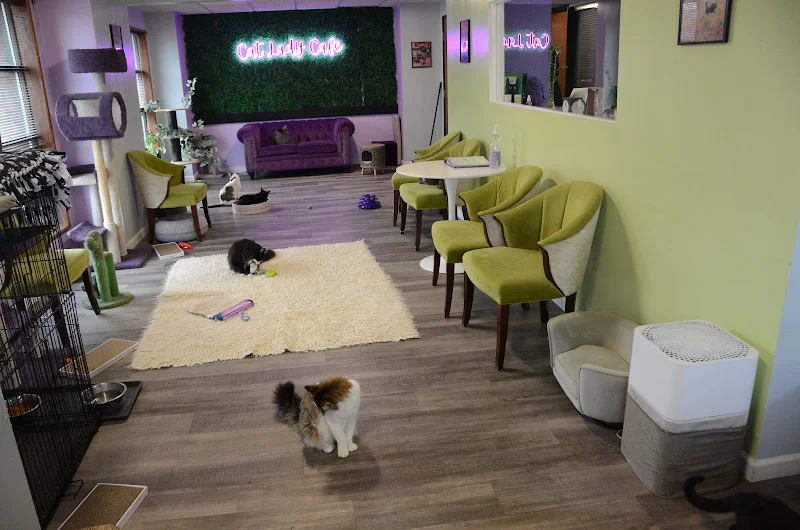 The Cat Lady Cafe South Bend