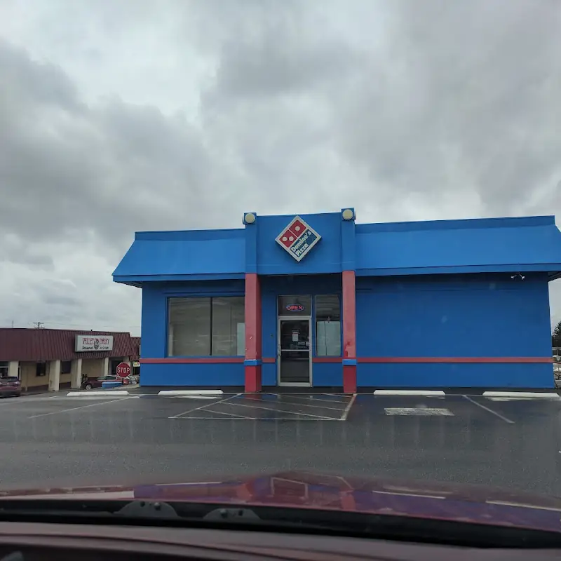 Domino's Pizza