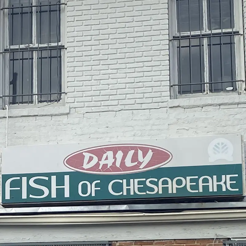 Daily Fish of Chesapeake