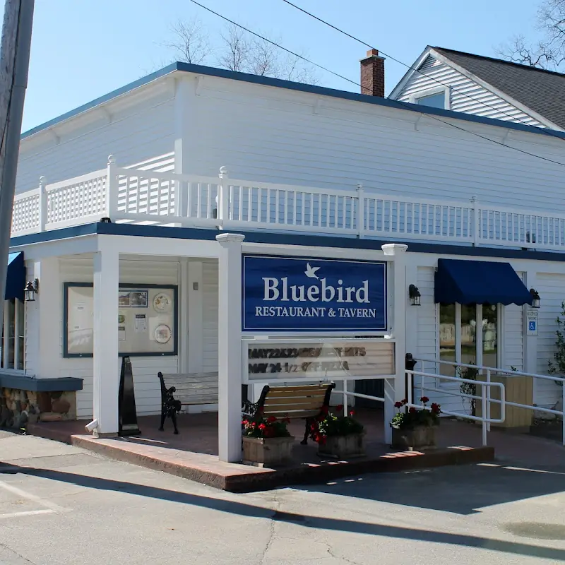 Blue Bird of Leland