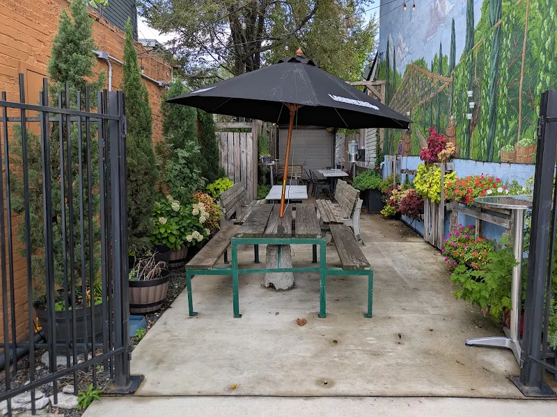 The Back Yard