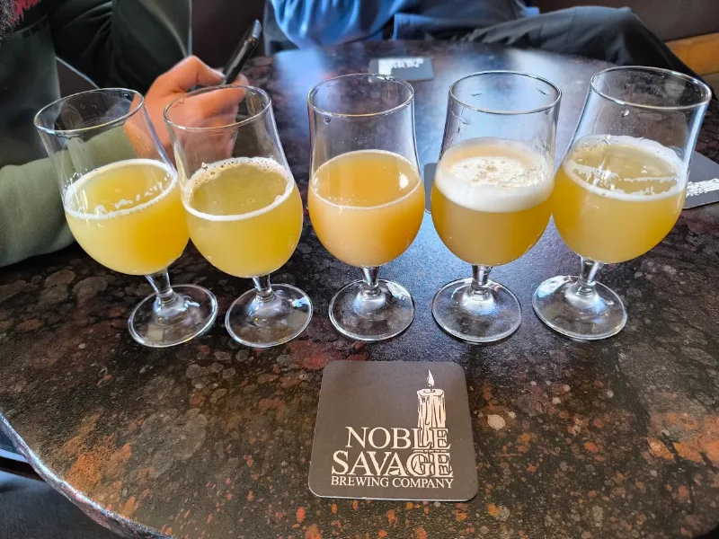 Noble Savage Brewing Company