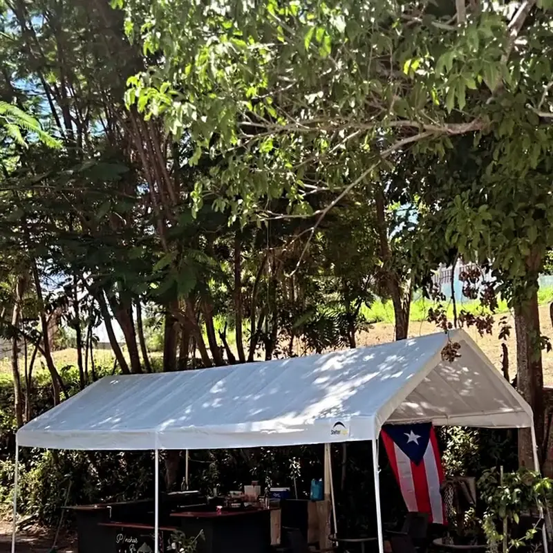 Pinchos La Montaña