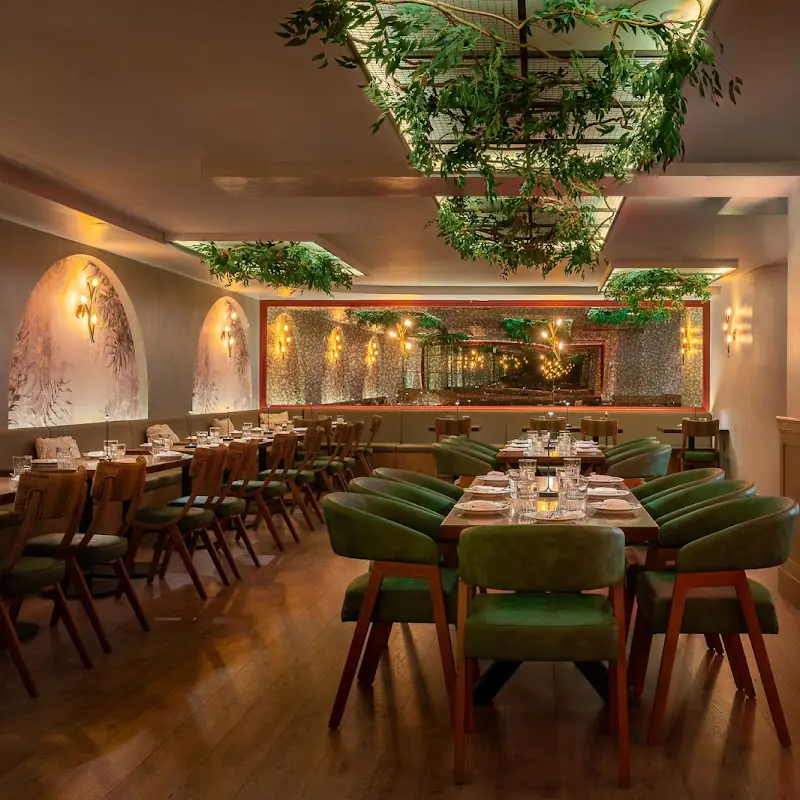 Anemi Modern Greek Mediterranean Cuisine