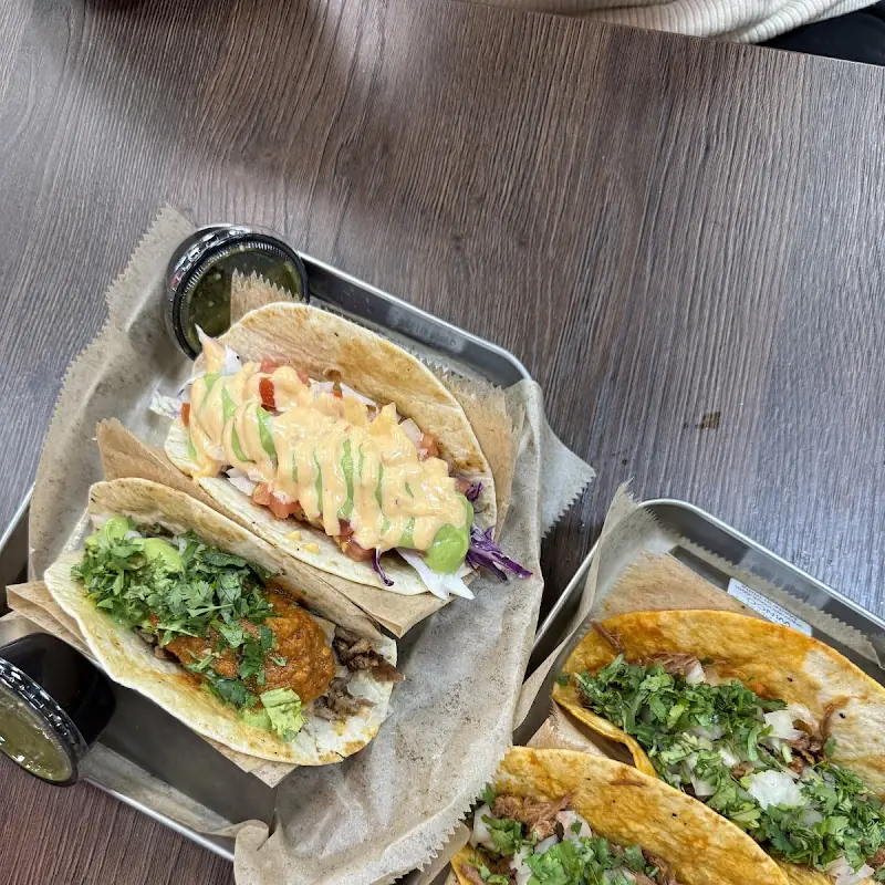 Habibi Taqueria