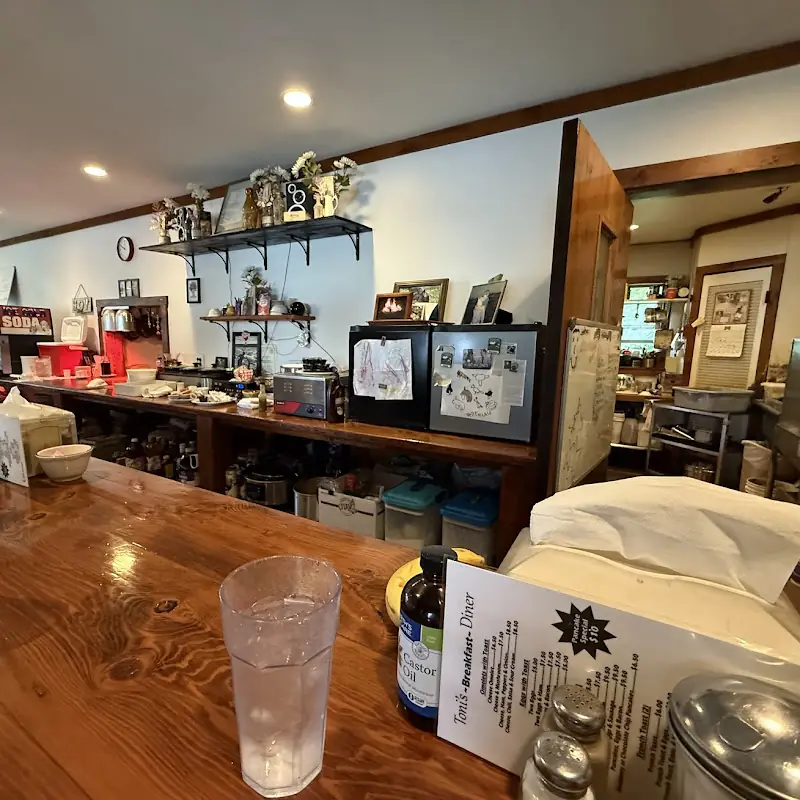Toni's Diner
