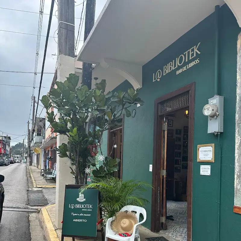 La Bibliotek Bar de libros
