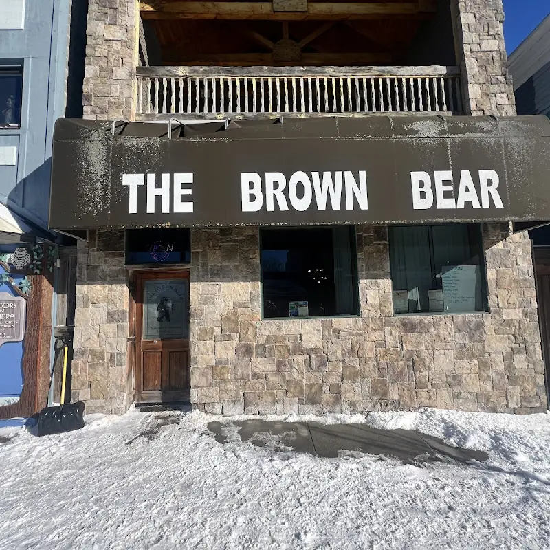 Brown Bear