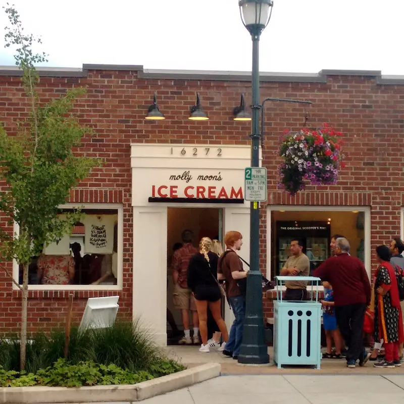 Molly Moon's Homemade Ice Cream Redmond