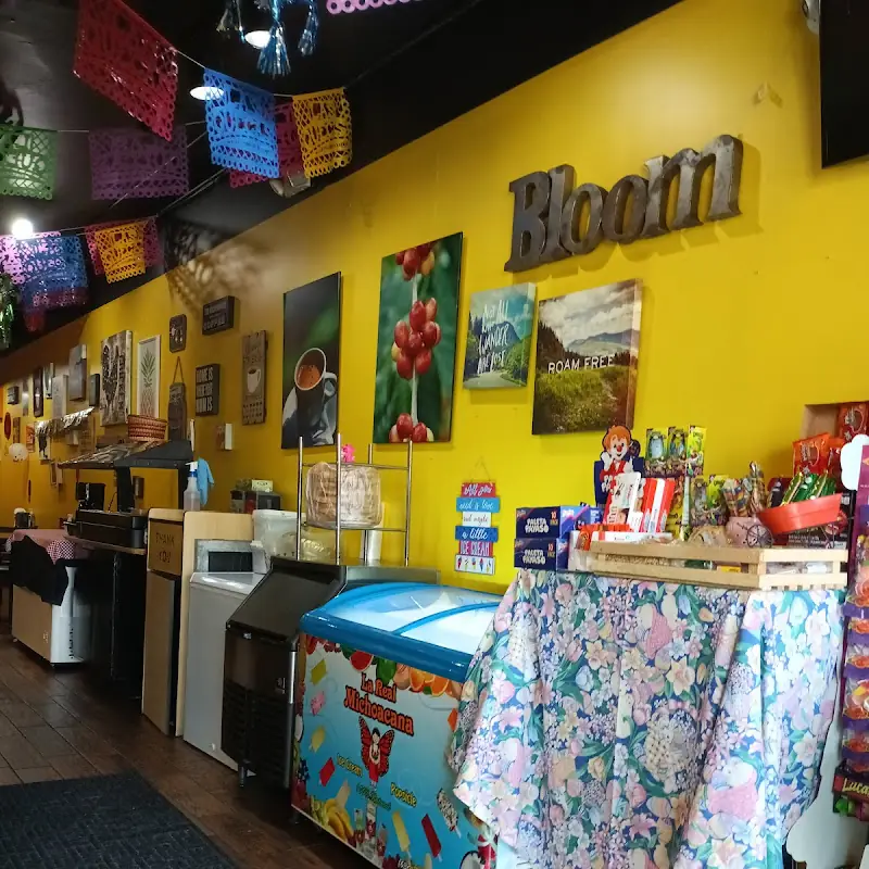 Barbacoa Burrito