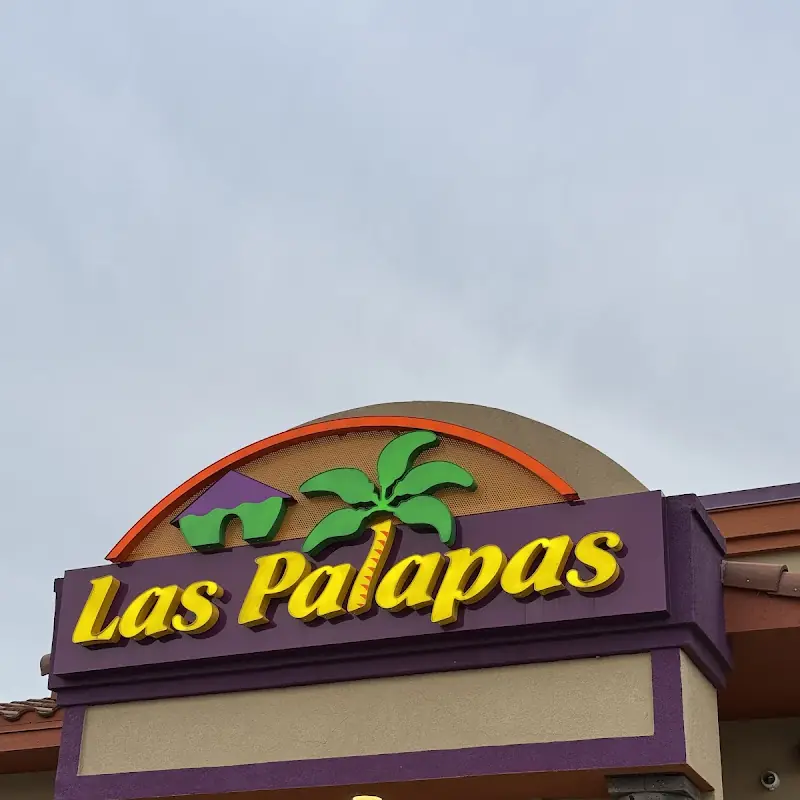 Large Tortilla Chips