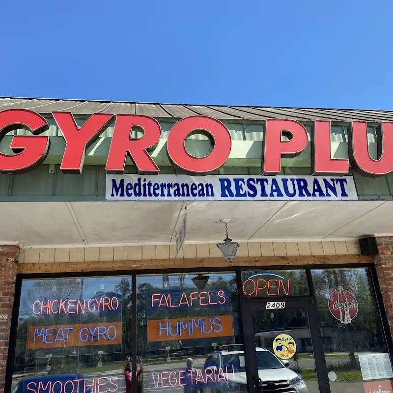 Gyro Plus