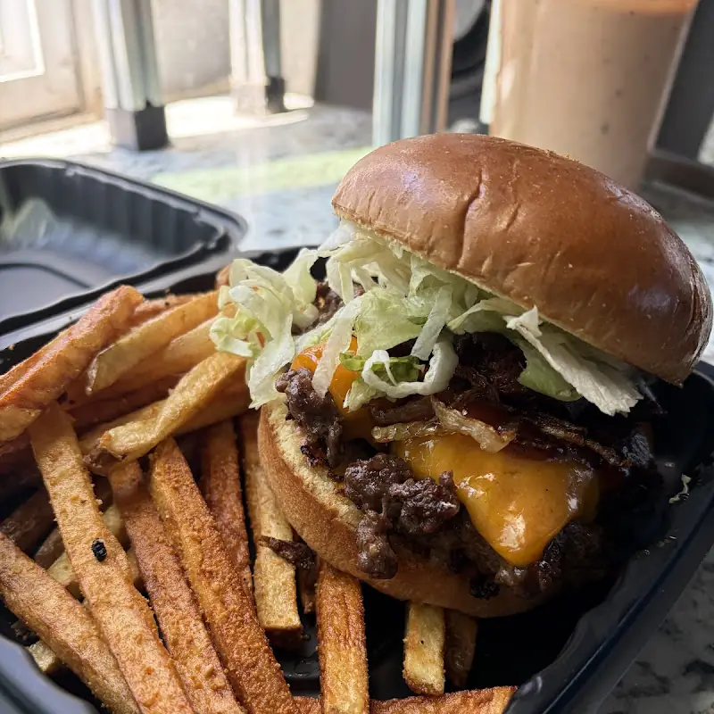 Plain Cheese Burger