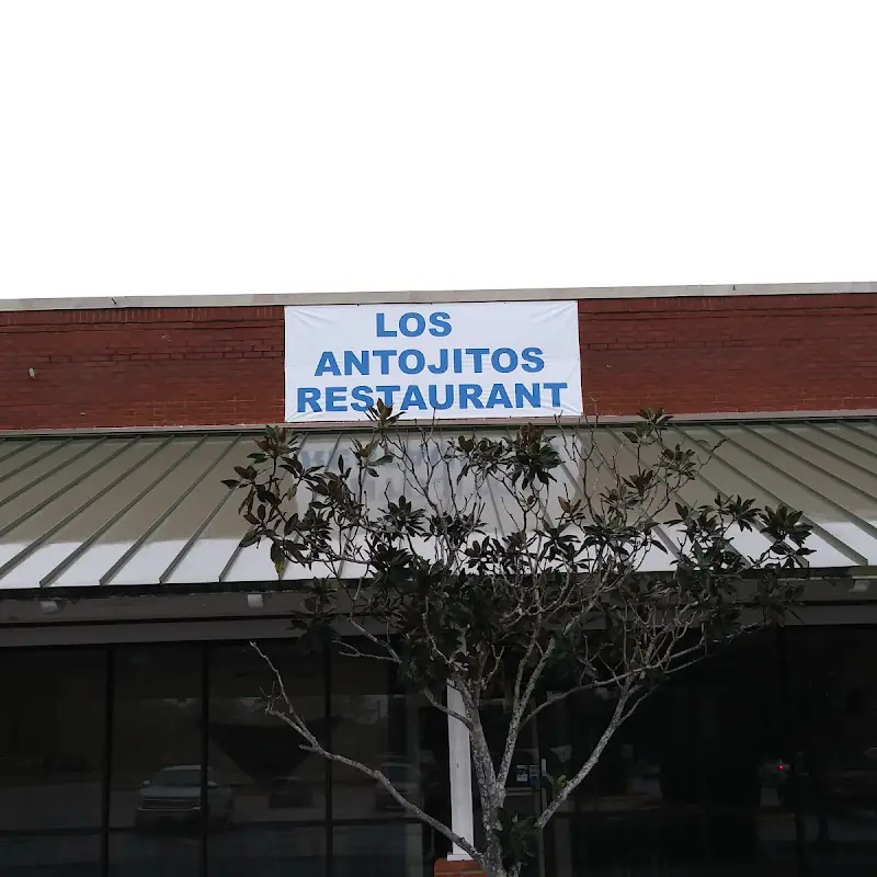 Los Antojitos | Honduran