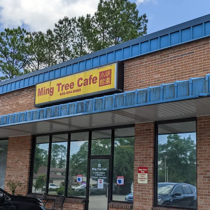 Ming Tree Cafe | TAKE OUT ONLY | Chinese