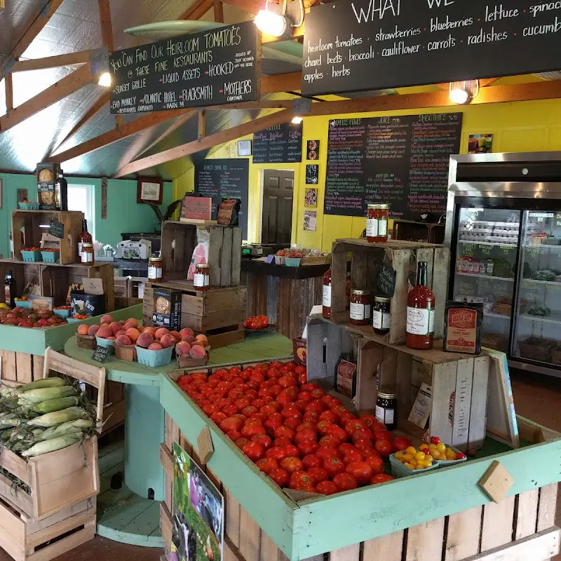 Pablo's Bowls at Sinepuxent Farm