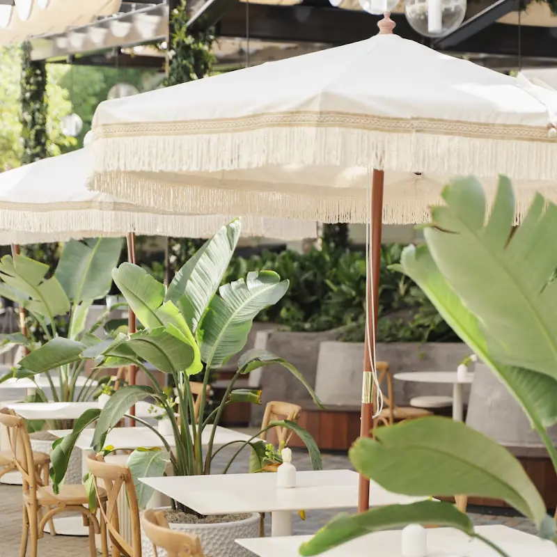 Avo Miami