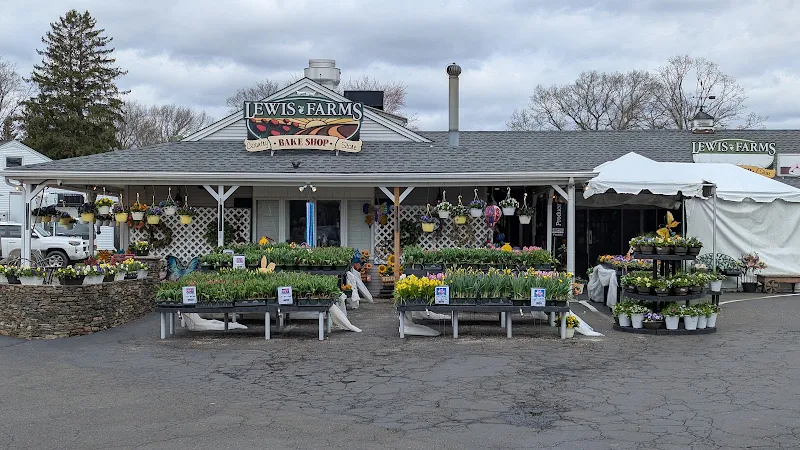 Lewis Farms
