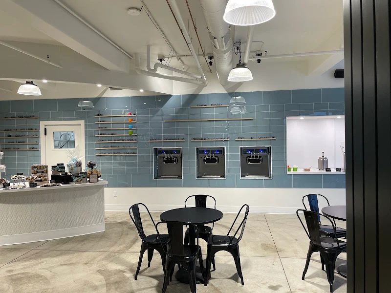Swirl Frozen Yogurt