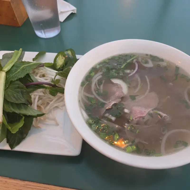 Bowl of Pho