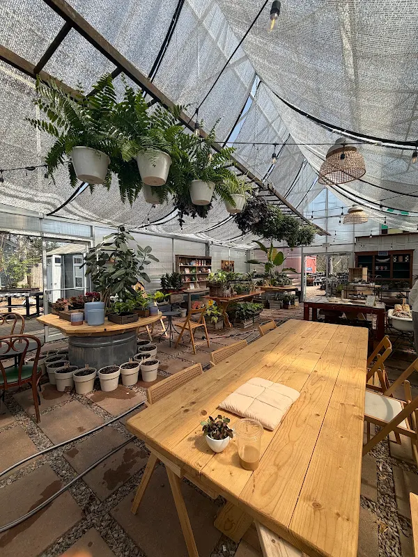 Maypop Coffee & Garden Shop