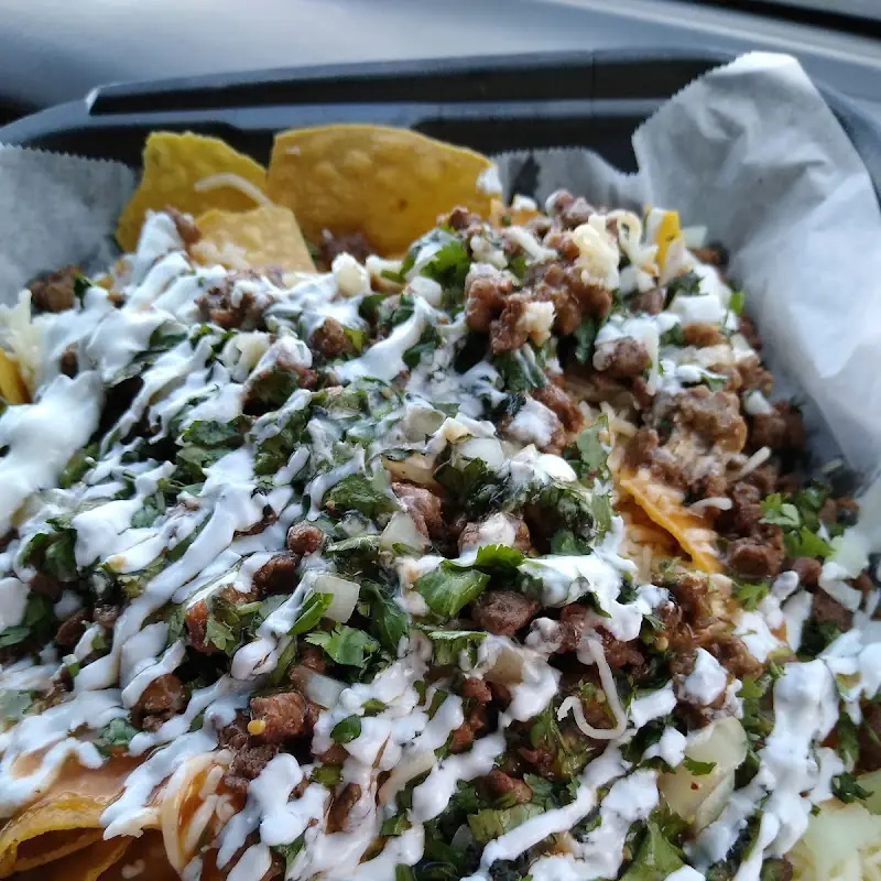 Birria Burrito