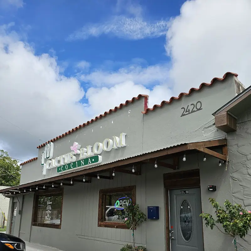 Cactus Bloom Cocina