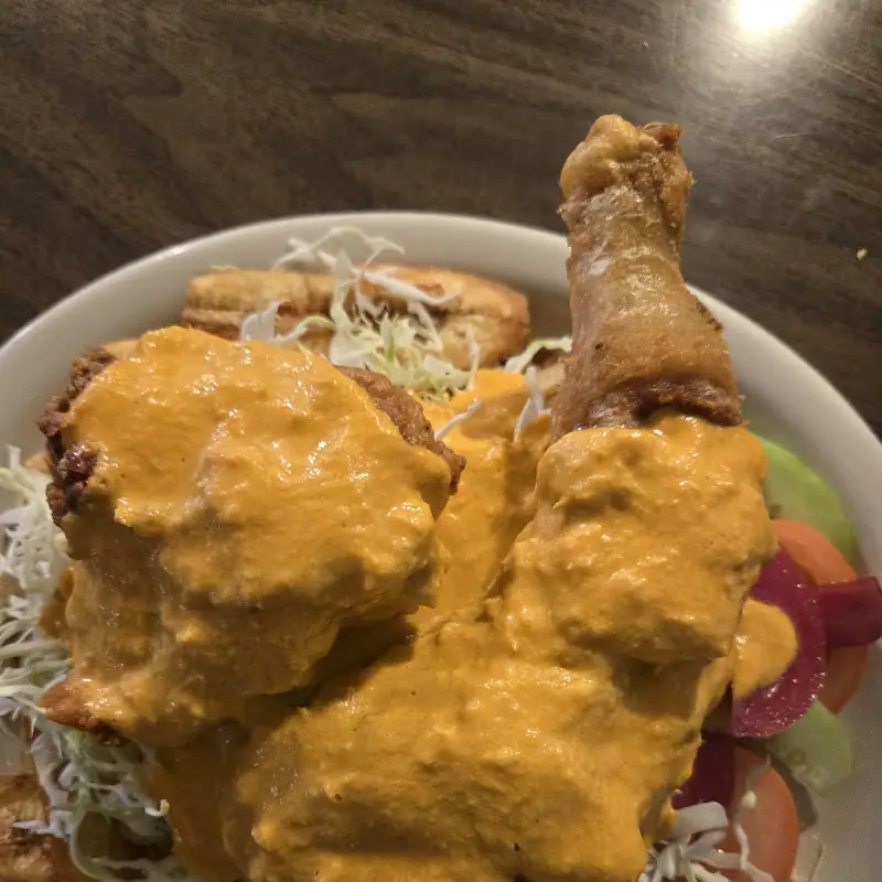 Pollo Encebollado / Chicken with Grilled Onions