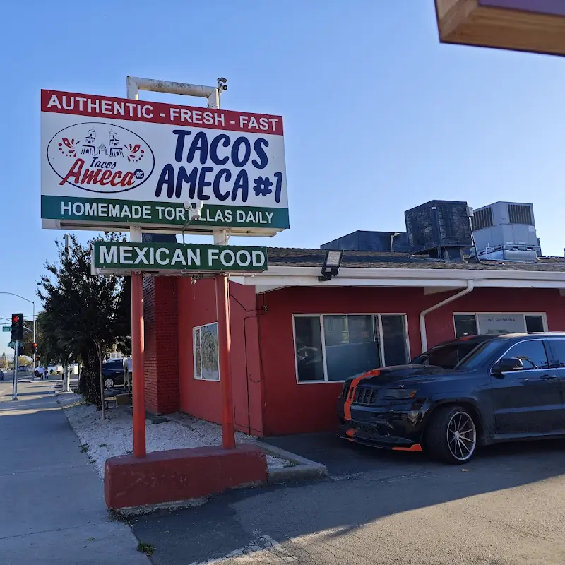 Plate of 2 Fish Tacos