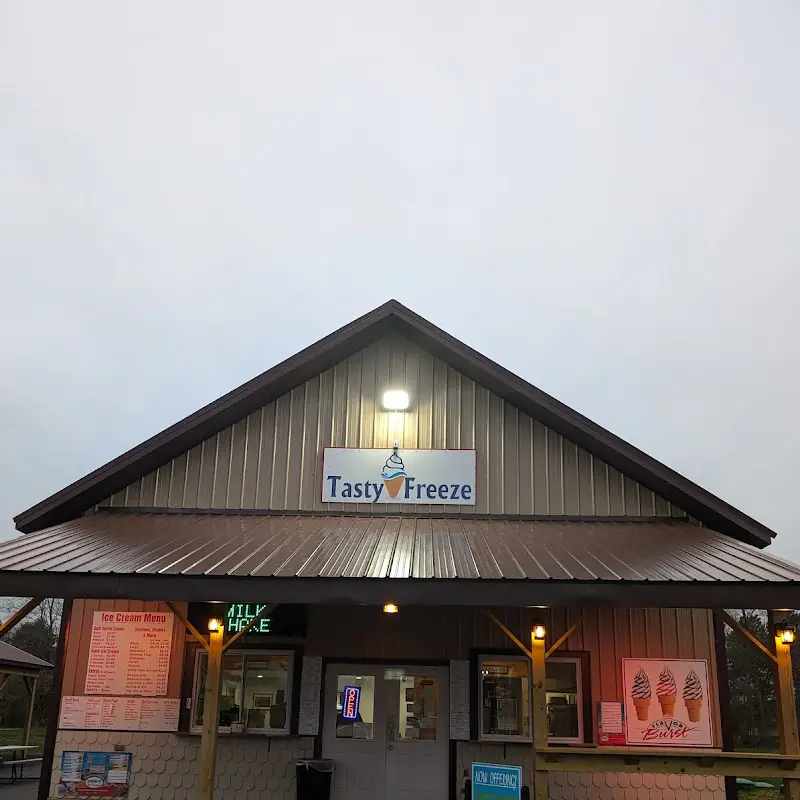 Tasty Freeze Pizza & Ice Cream
