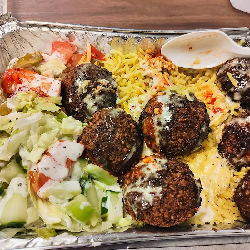 Fresh Gyro Halal